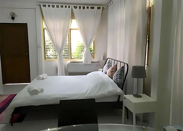 Many Trees Hotel
